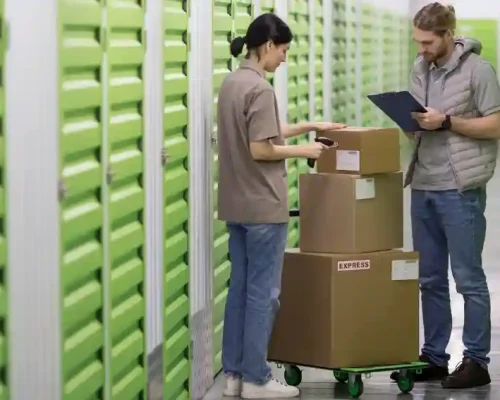 Smart Storage Solutions for a Clutter-Free Life